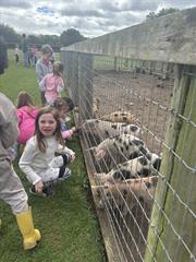 Kate's Class in Glenroe Farm!