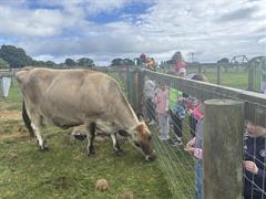 Kate's Class in Glenroe Farm!