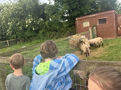 Kate's Class in Glenroe Farm!