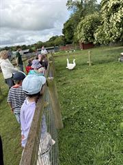 Clare's Class School Tour to Glenroe Farm