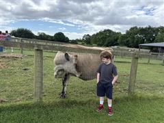Clare's Class School Tour to Glenroe Farm