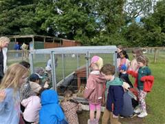 Clare's Class School Tour to Glenroe Farm