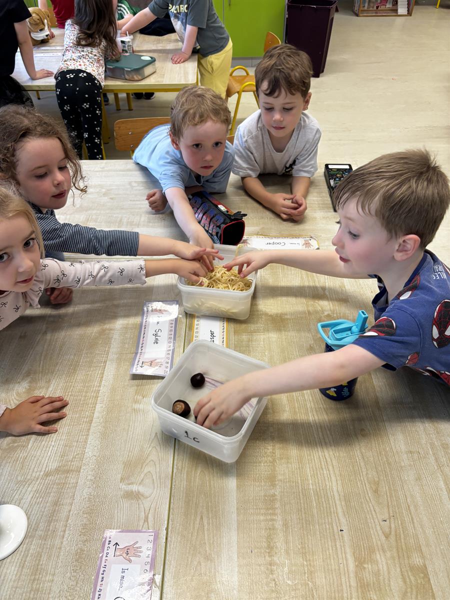 Our Senses Workshops!