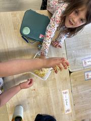 Our Senses Workshops!