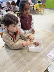 Our Senses Workshops!