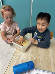 Our Senses Workshops!