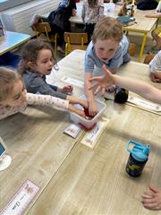 Our Senses Workshops!