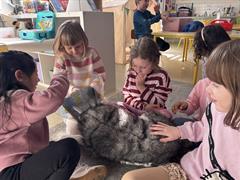Visiting Vet to Junior Infants
