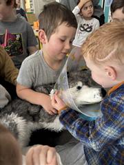 Visiting Vet to Junior Infants
