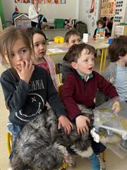Visiting Vet to Junior Infants