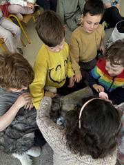 Visiting Vet to Junior Infants