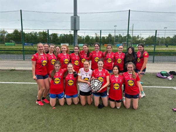 Wicklow Senior Schools Football Champions