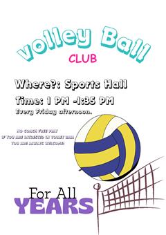 Volleyball