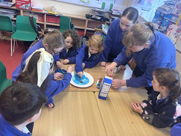 Science week