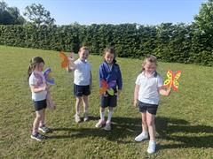 Butterflies