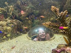 At the Aquarium in Bray