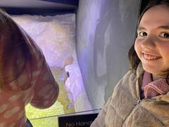 At the Aquarium in Bray