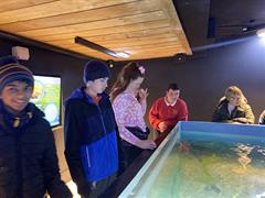 At the Aquarium in Bray