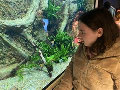 At the Aquarium in Bray