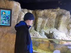 At the Aquarium in Bray