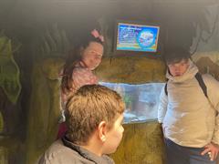 At the Aquarium in Bray