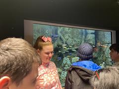 At the Aquarium in Bray