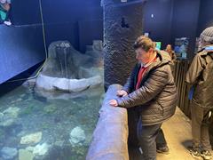 At the Aquarium in Bray