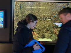 At the Aquarium in Bray