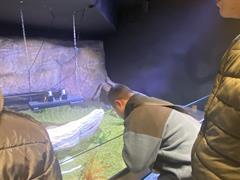 At the Aquarium in Bray