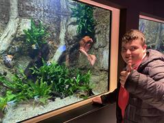 At the Aquarium in Bray