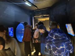 At the Aquarium in Bray