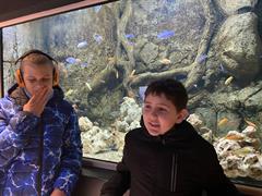 At the Aquarium in Bray