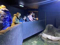 At the Aquarium in Bray