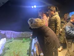 At the Aquarium in Bray