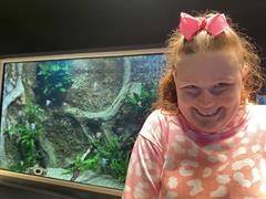 At the Aquarium in Bray