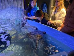 At the Aquarium in Bray