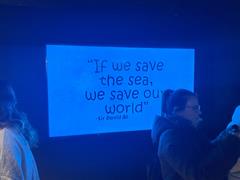 At the Aquarium in Bray