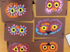 First Class Owl Adventures!