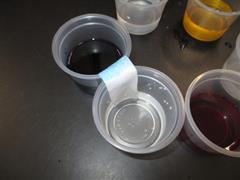 Colour Wheel Demonstration