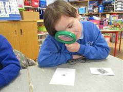 Checking Our Fingerprints