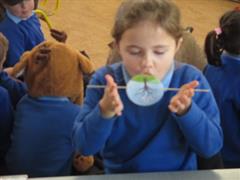 Thaumatrope Spinners