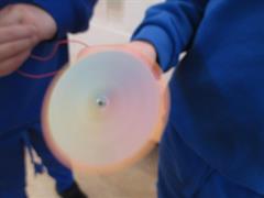 Thaumatrope Spinners