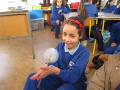 Thaumatrope Spinners