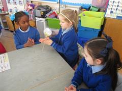 Thaumatrope Spinners