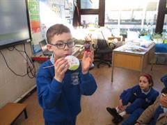 Thaumatrope Spinners