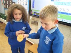 Thaumatrope Spinners