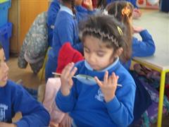 Thaumatrope Spinners