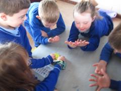 Thaumatrope Spinners