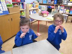 Low and High Notes and Whistles