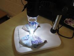 Our Wonderful New Microscope